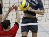 Volleyballturnier des VC Angermuende